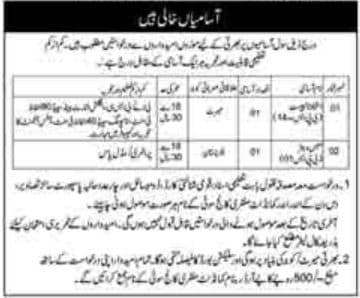Military College Jobs 2022