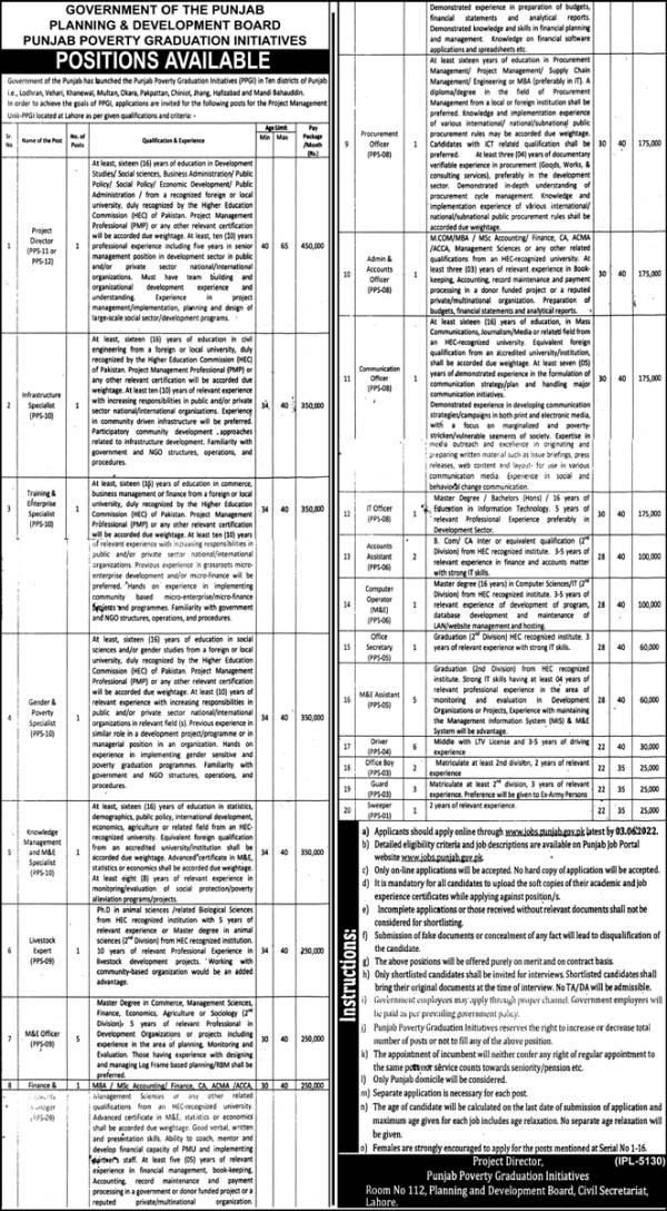 Jobs for Project Director 2022