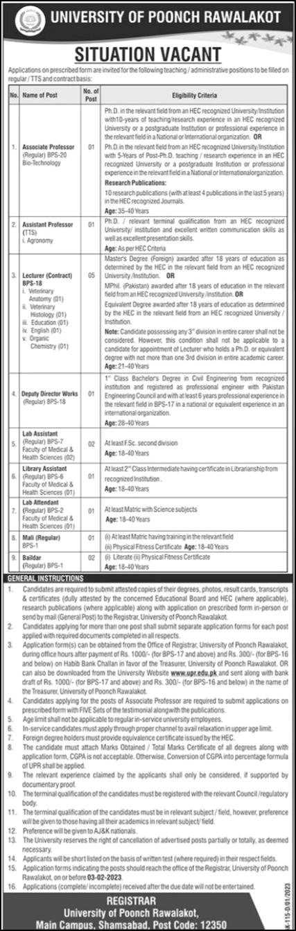 Lecturer and Professors Jobs 2023